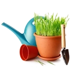 Jardín