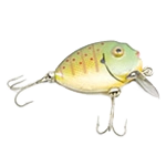 Pesca y caza
